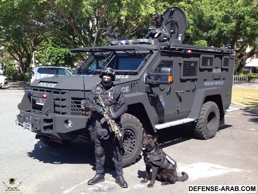 Vader-Sert-Bearcat.jpg