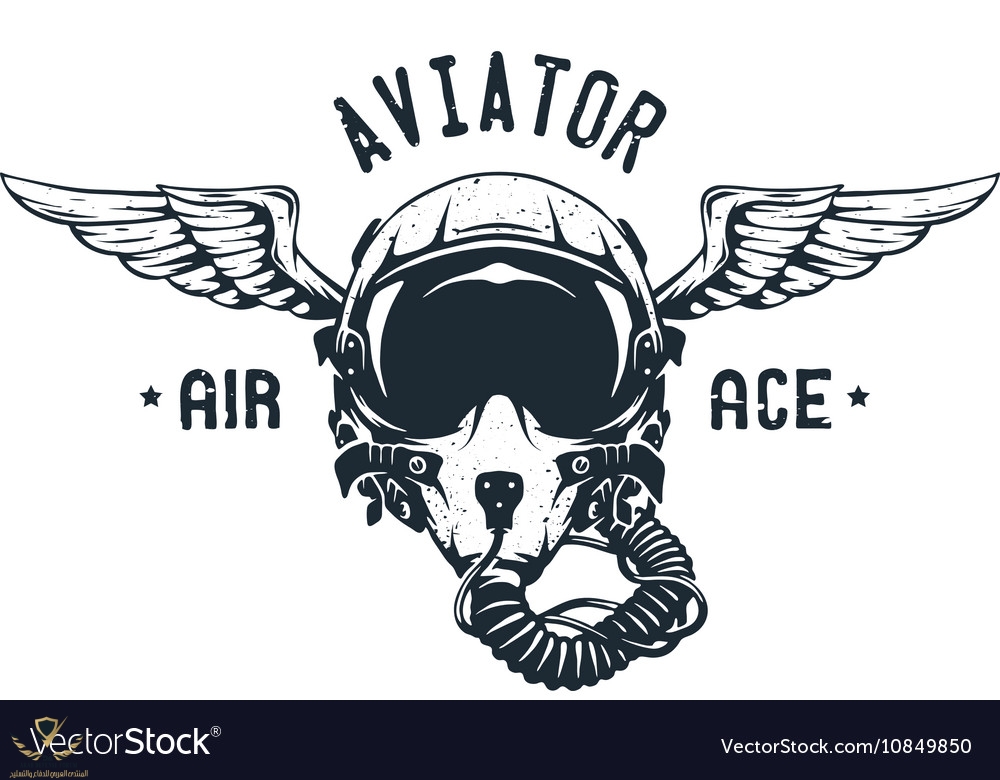 fighter-pilot-helmet-emblem-vector-10849850.jpg
