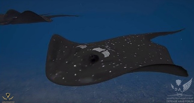 645x344-turkey-to-launch-stingray-guised-underwater-battle-drone-1524474642732.jpg