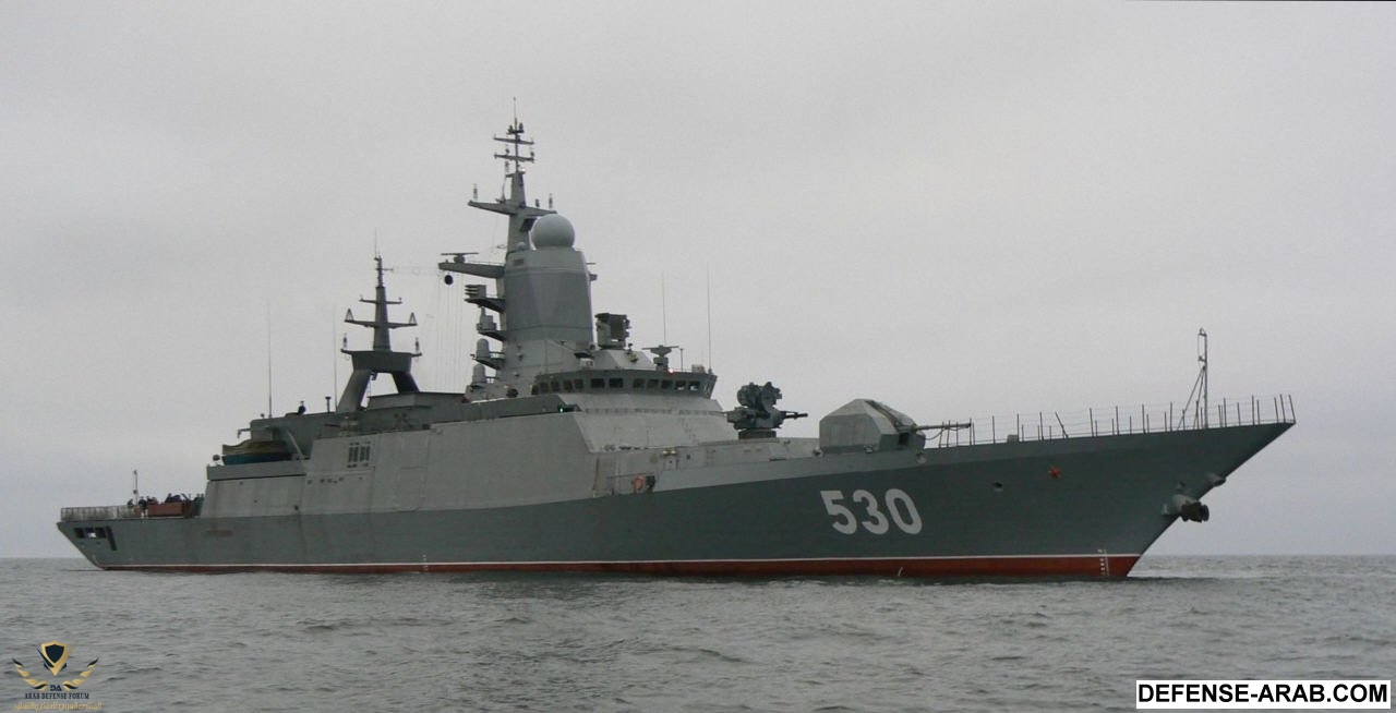 rfs-steregushy3.jpg
