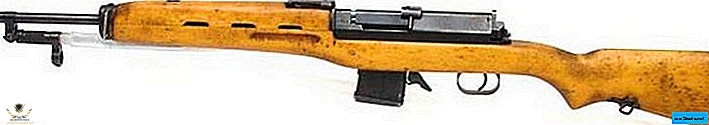 samozaryadnij-karabin-rashid-egipet.jpg