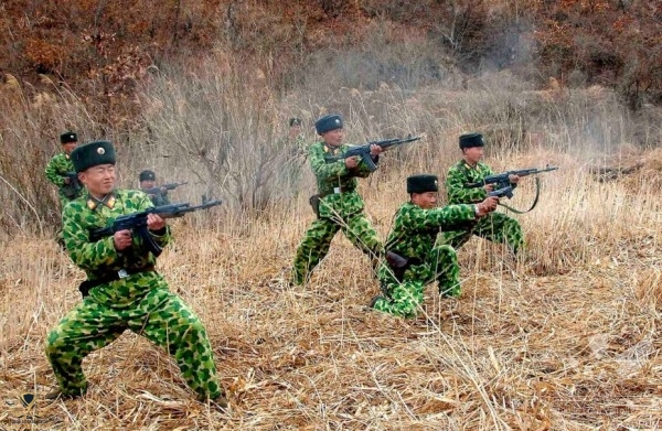 north-korea-camouflage-930x607-600x391.jpg