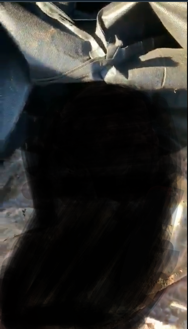 Screenshot_2020-05-30-04-00-44~3.png
