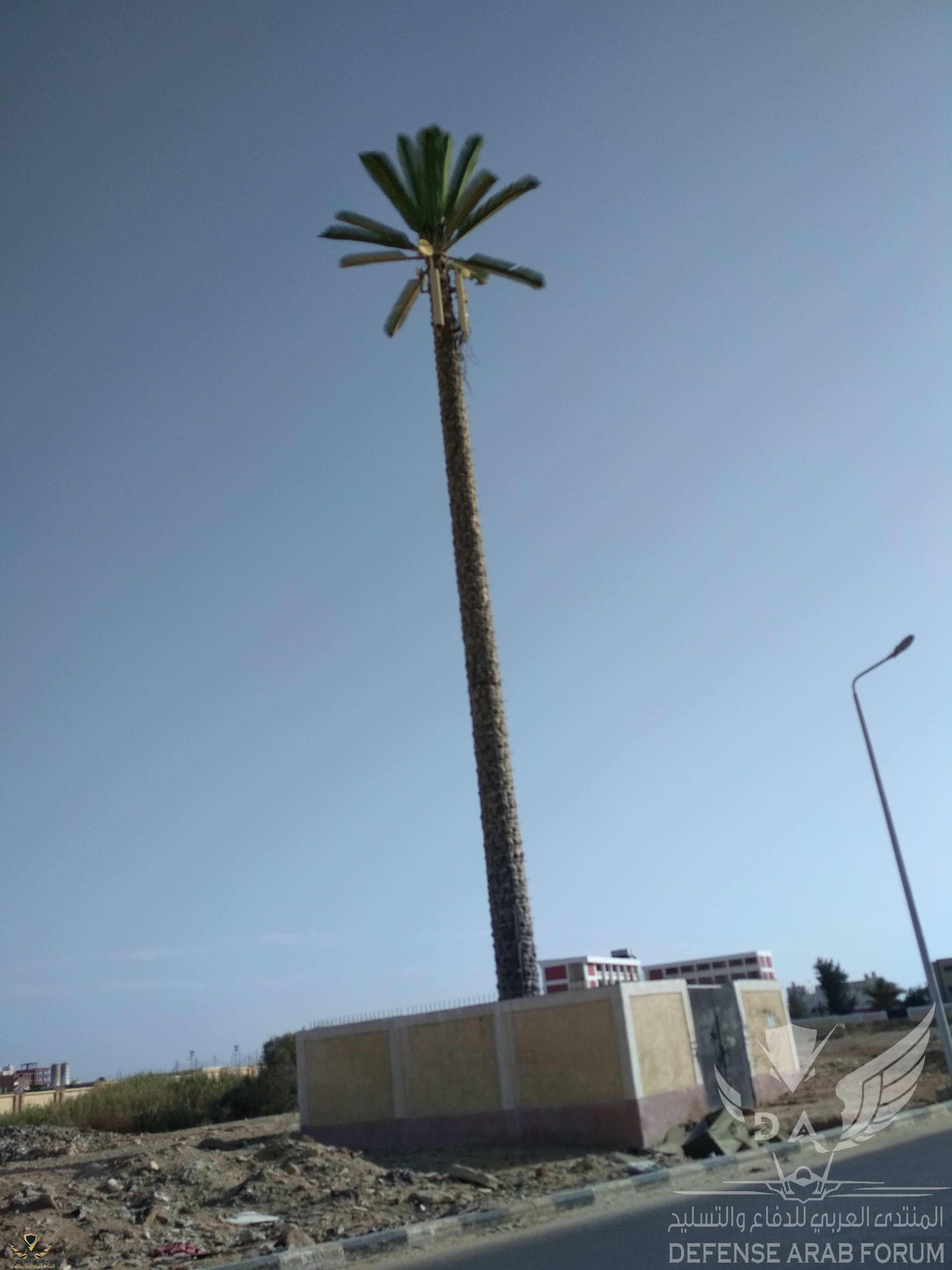IMG_٢٠٢٠٠٦١٠_٠٦٥٢١١.jpg