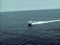 PaleMaleErne-max-1mb.gif