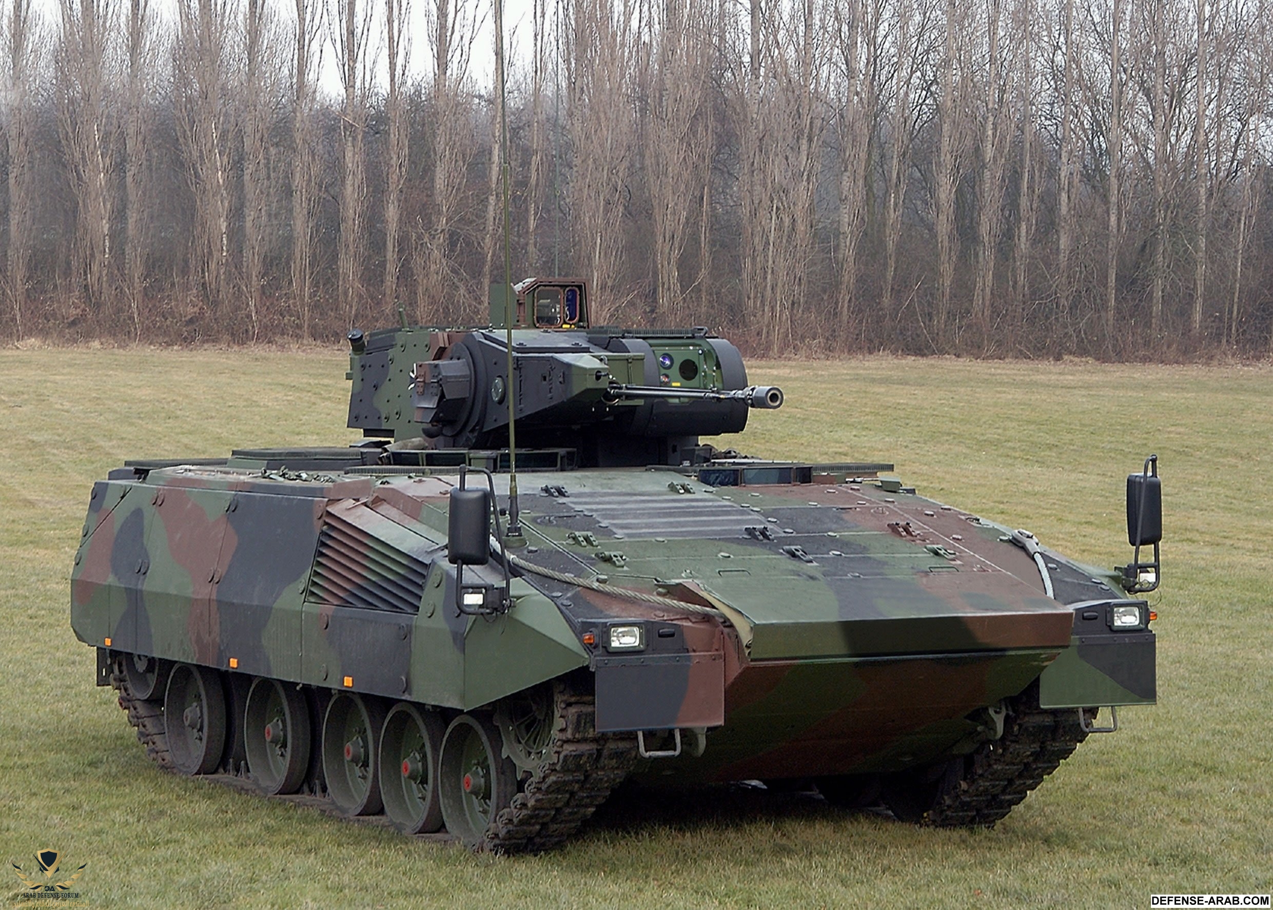 pumawiese2gr.jpg