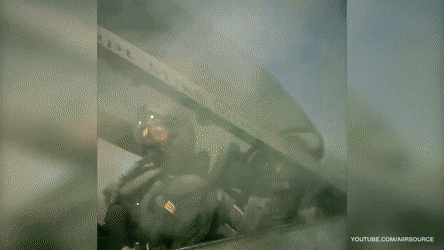 SaneWillingHalcyon-size_restricted.gif