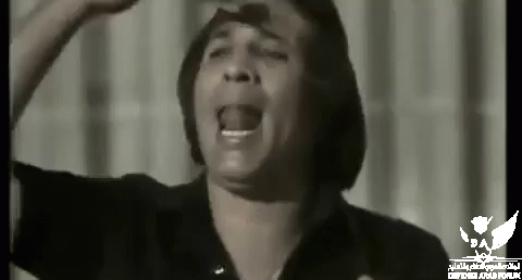 tenor.gif