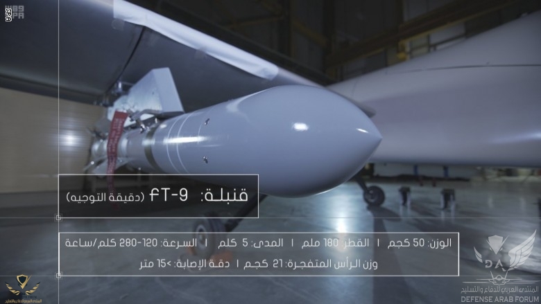 191831_saqr-12.jpg