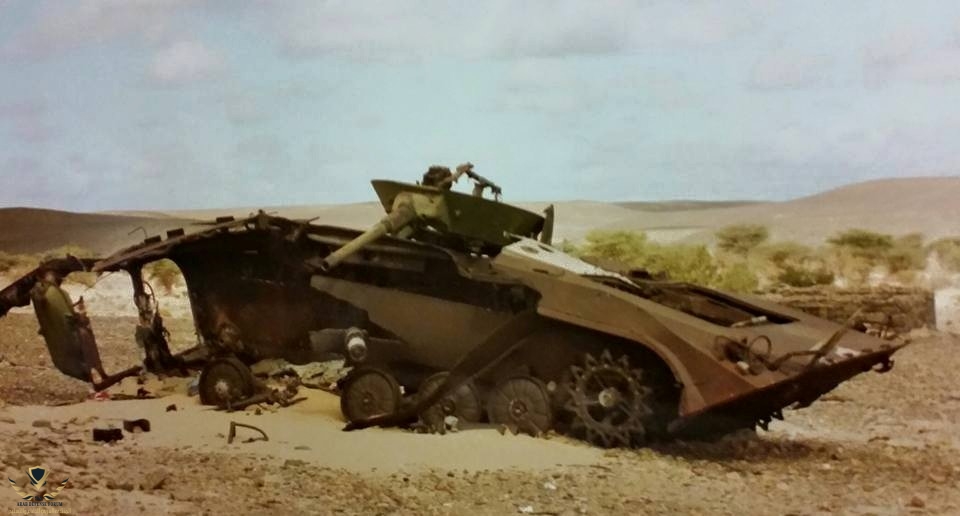 bmp_po10.jpg