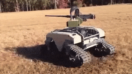 IllinformedFairBlackrhino-size_restricted-1.gif
