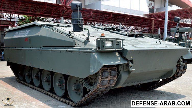 Marder-tracked-down-_ID14D1_.jpg