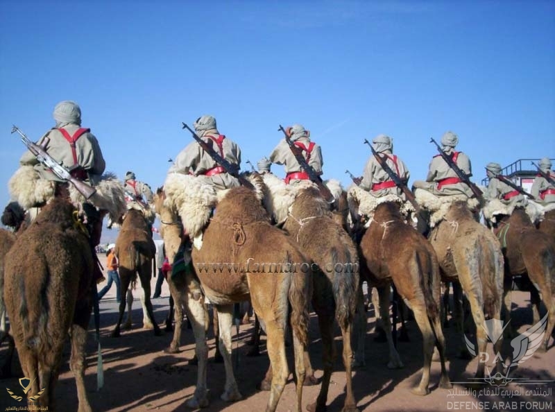 Camel Corps.jpg