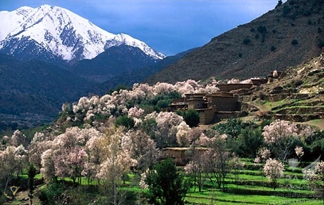 1274781117maghrab.jpg