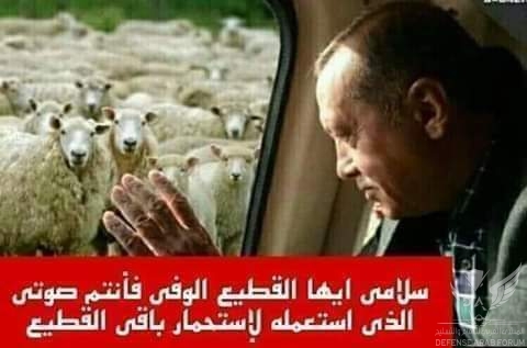 FB_IMG_1593970977575.jpg