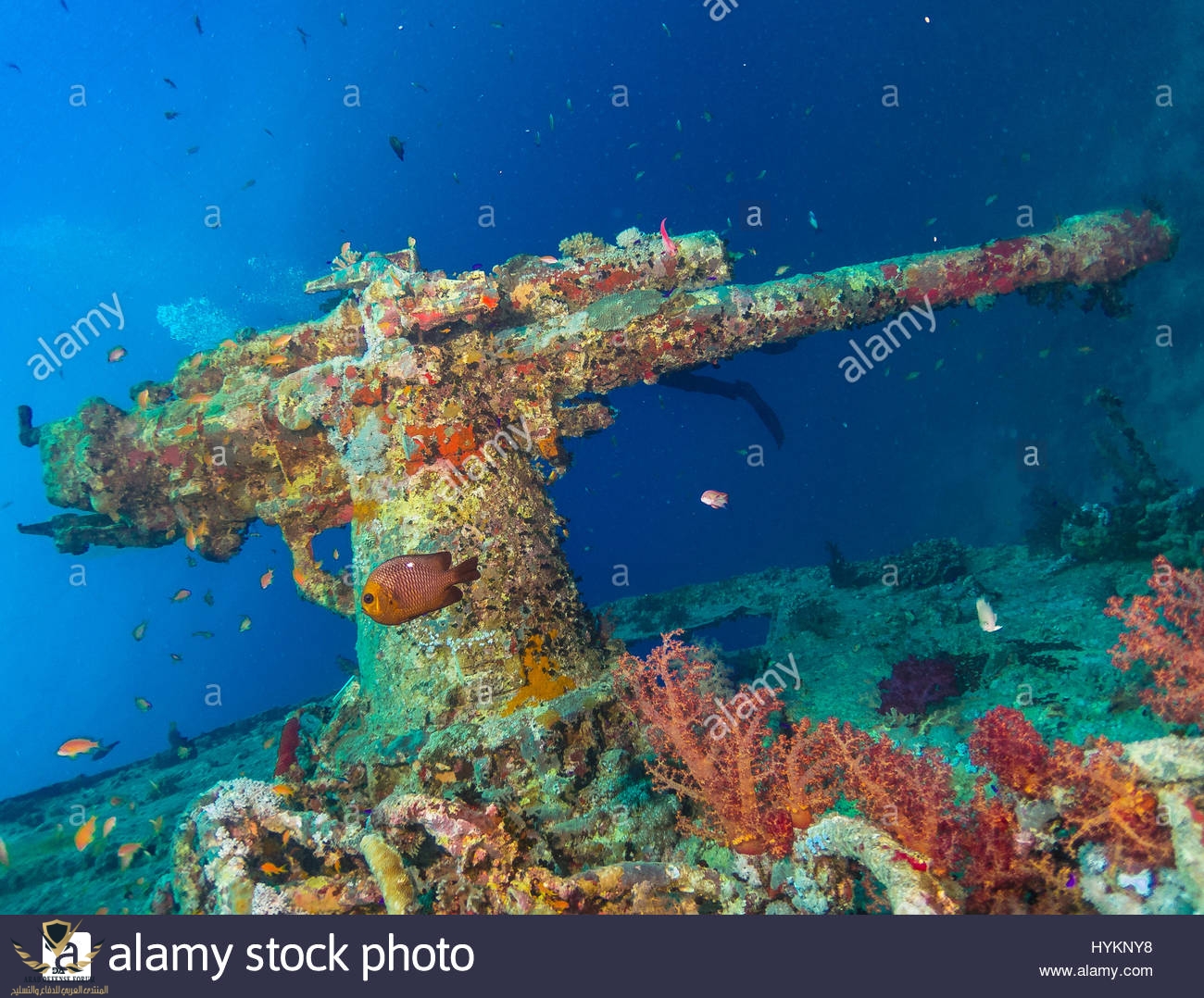red-sea-egypt-picture-of-a-mounted-gun-incredible-images-show-vehicles-HYKNY8.jpg