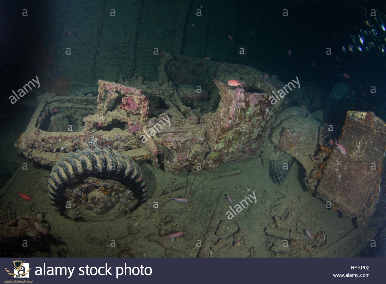 red-sea-egypt-remains-of-an-amoured-vehicle-incredible-images-show-HYKP02.jpg
