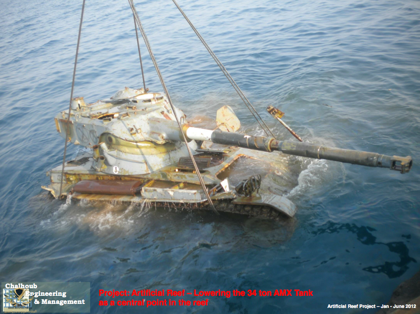 Chalhoub-Artificial-Reef-07.png