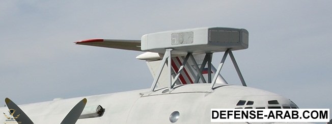 1979499.jpg