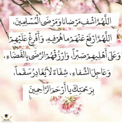 1595005704505.png