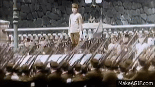 be6e4fd866f1ee205cfd4ebb60a4d87f.gif