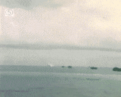 SerpentineMadeupBluemorphobutterfly-max-1mb.gif