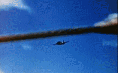 7a6fca24ee67a3516608fb44245af3e2.gif