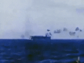 DeliriousWhoppingGrayling-max-1mb.gif