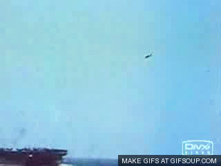 2900226_orig.gif