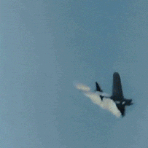 tumblr_pinukp2ECV1qg39ewo1_500.gif