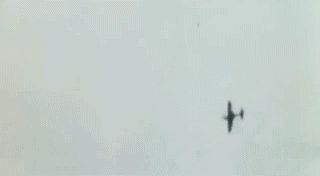 eb31178e2640b323485d653c5f04b72a.gif