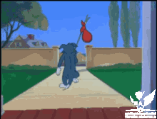 tenor (1).gif