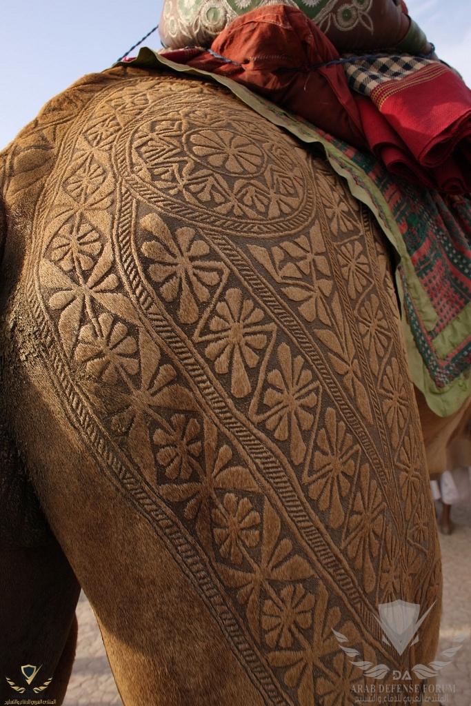 Camel Hair Art 08.jpg