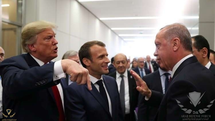 أردوغان النعجة.jpg