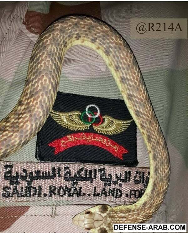 البرية.png