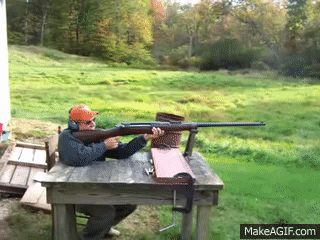 ZVLaft.gif