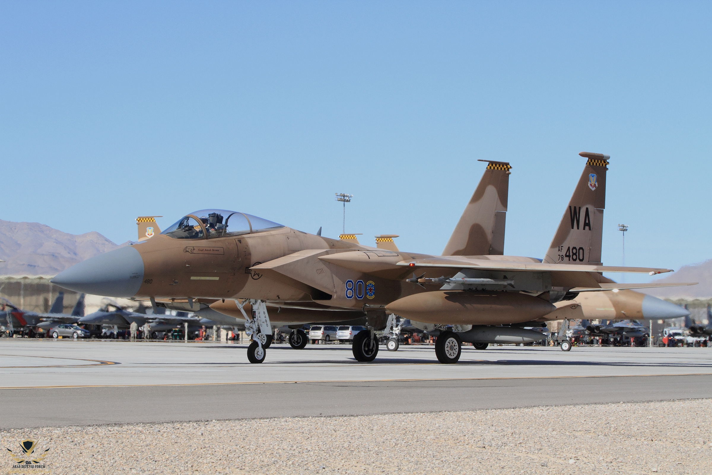 Brown-camo-F-15C-Ed-Rivera.jpg