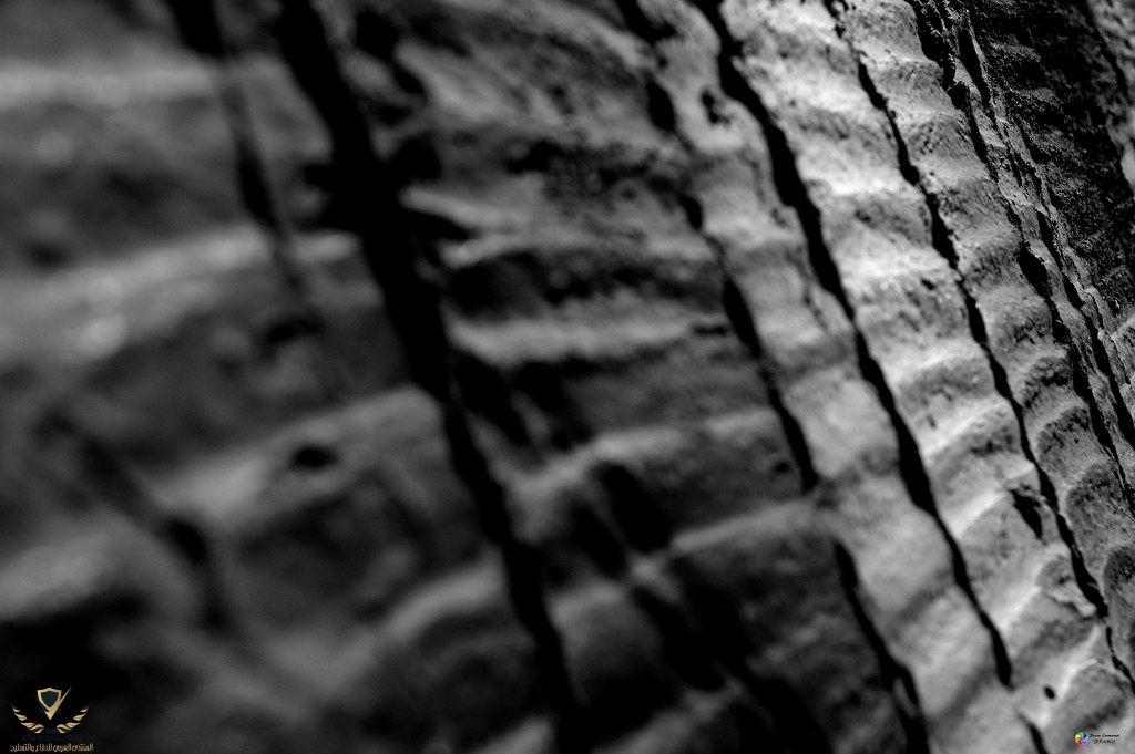 35046519312_c7d46122b1_b.jpg