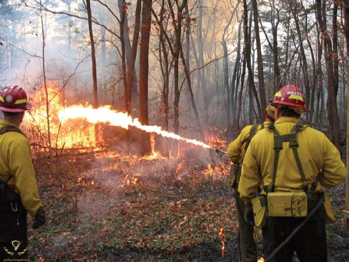 The-Terra-TorchR-in-use-on-a-Division-of-Forestry-prescribed-fire.png