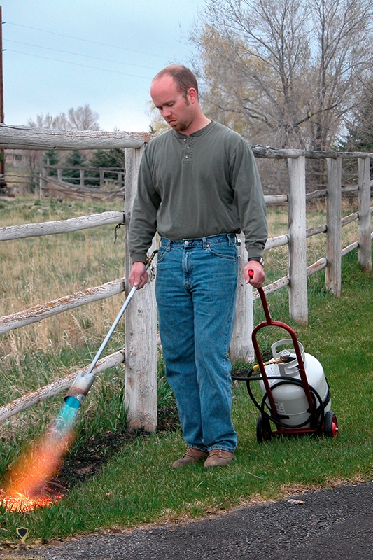 propane-weed-torch-propane-torch-forestry-suppliers-inc.jpg