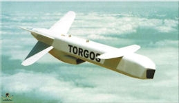 torgos-image01-s.jpg