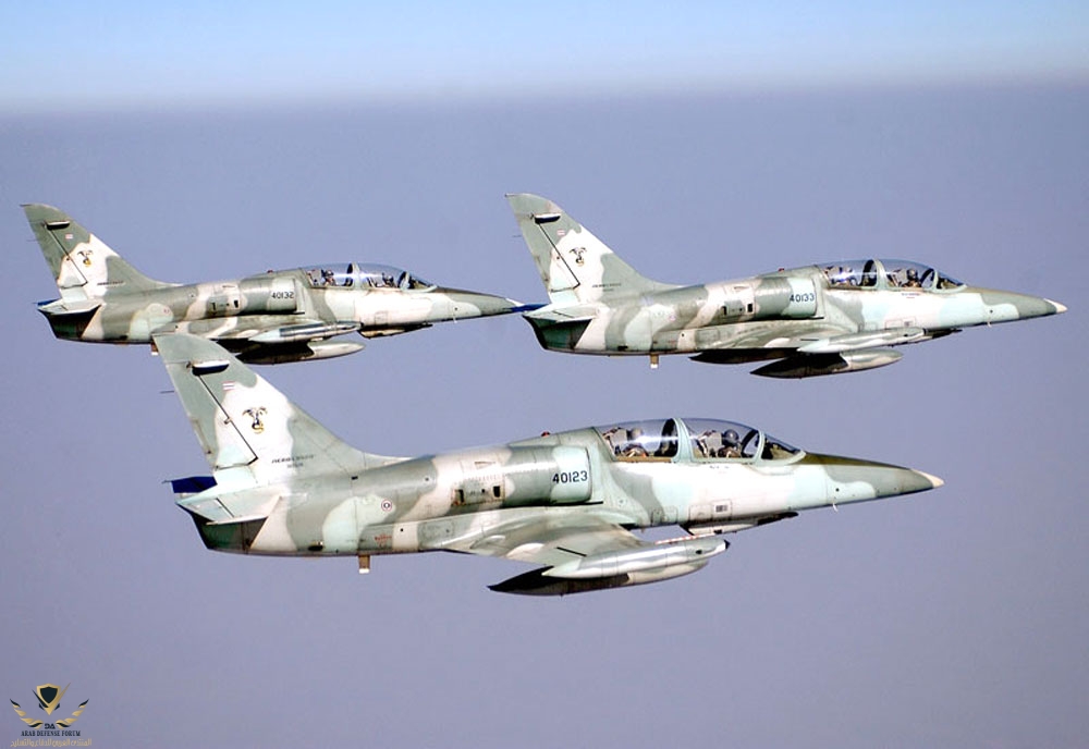 aero-l39-albatros-advanced-jet-trainer-light-strike-aircraft-czechoslovakia_17.jpg