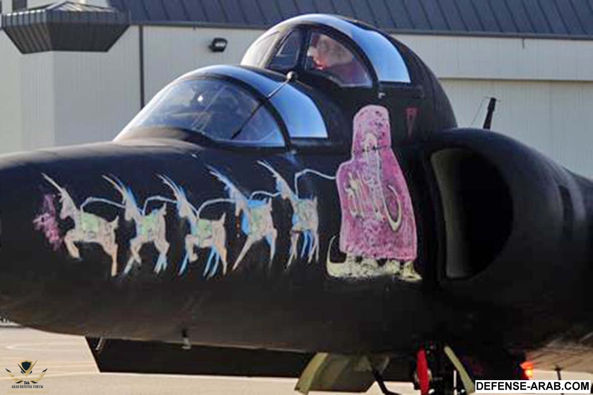 U-2-noseart-copy.jpg