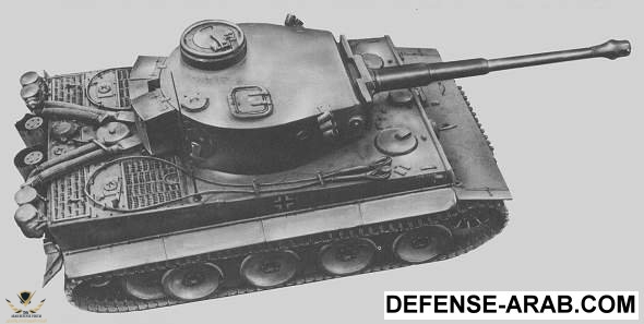 tiger08.jpg