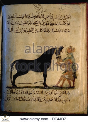 illustration-from-nihayat-al-sul-a-mamluk-manual-on-horsemanship-de4jd7.jpg