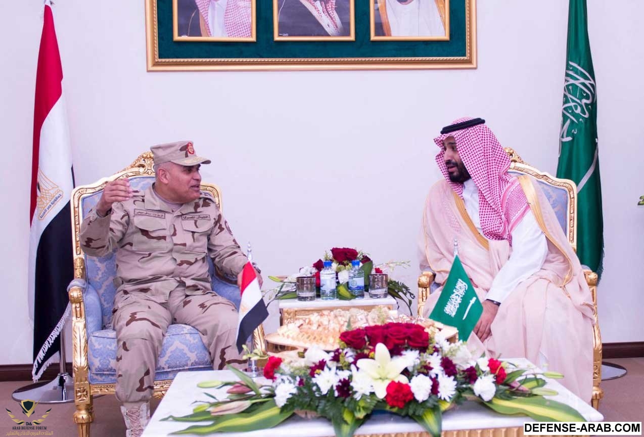 صدقي-صبحي.jpg