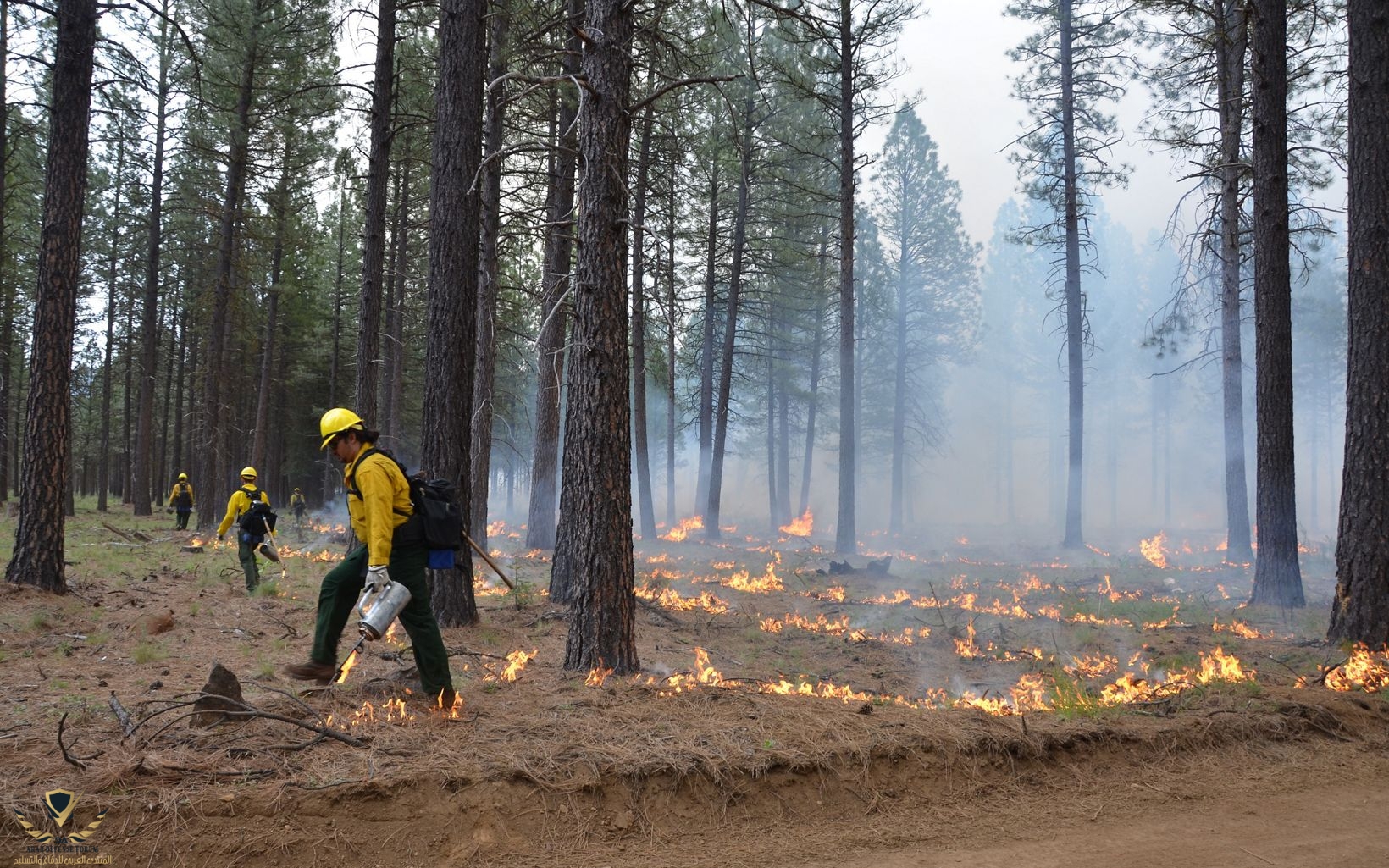 prescribed-fire-staff-1.jpeg