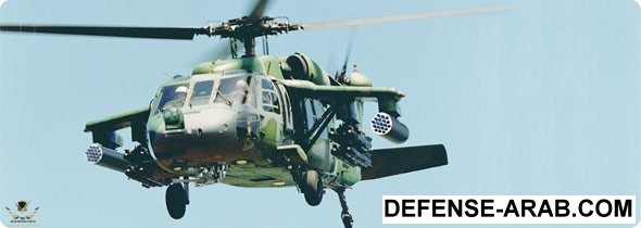 battle hawk.jpg