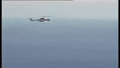 ElasticElaborateGalah-max-1mb.gif