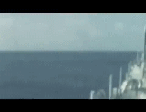 FarawayGraciousIzuthrush-mobile_1.gif